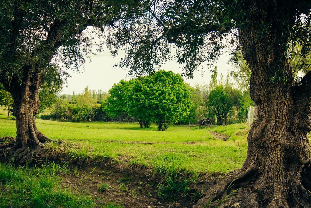 Finca La Encantada San Rafael  Buitenkant foto